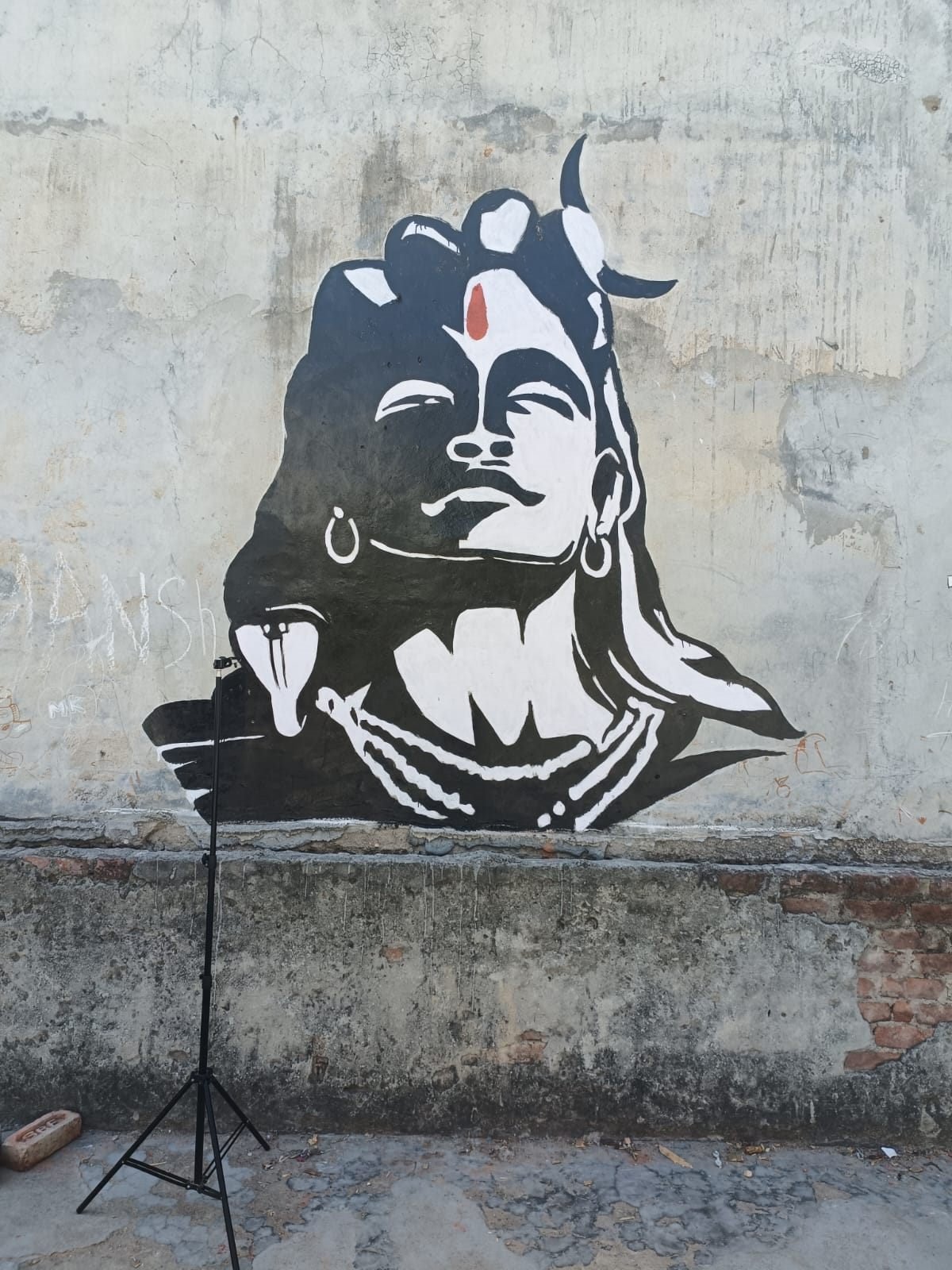Black and white Mahadev wall mural on textured wall